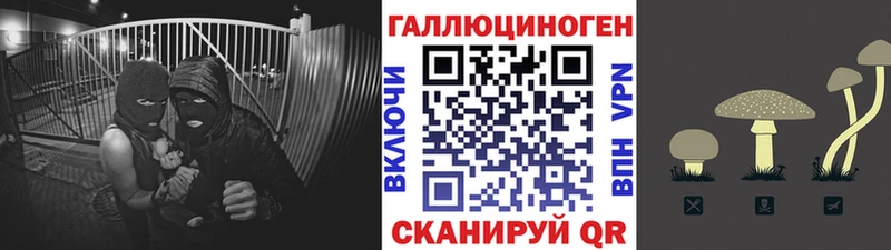 как найти наркотики  Адыгейск  Галлюциногенные грибы мухоморы 